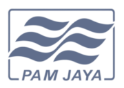 Pam Jaya